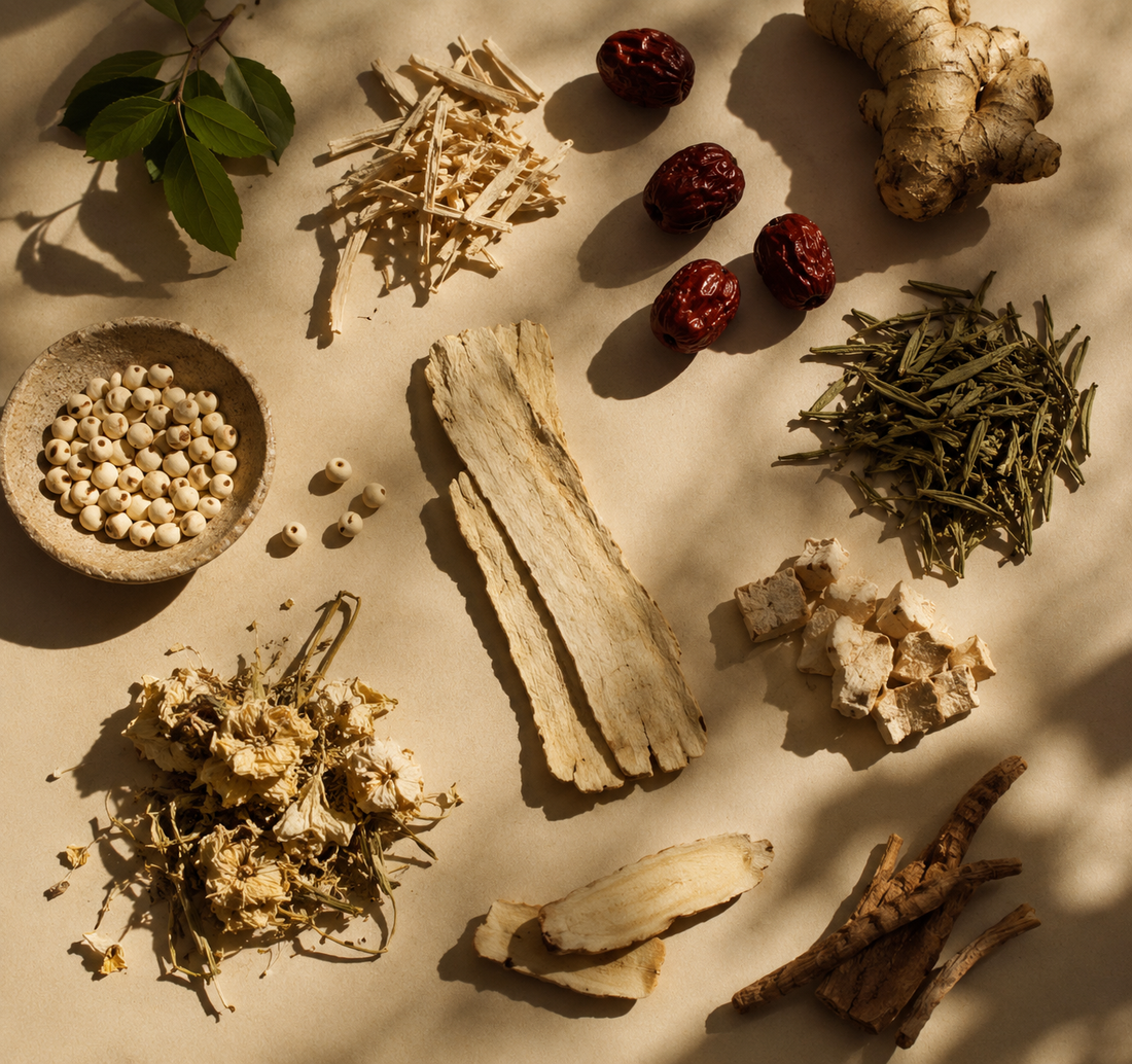Best Ingredients for Hair Growth (2026 Guide): What Actually Matters?